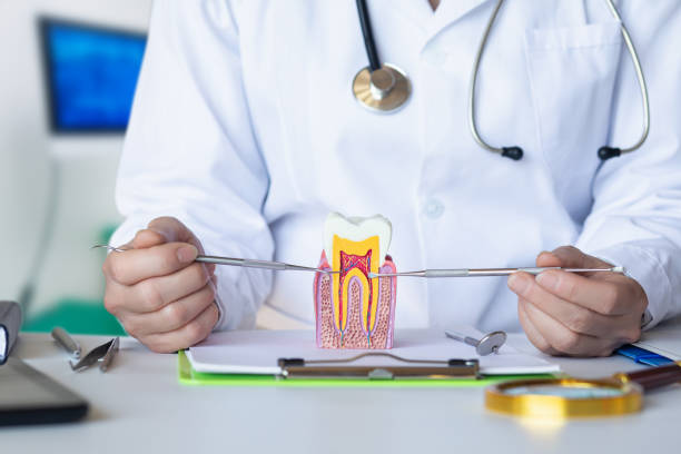 Best Dentist for Tooth Abscess  in Benson, UT